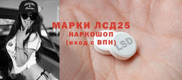 PSILOCYBIN Балахна