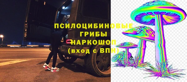 PSILOCYBIN Балахна